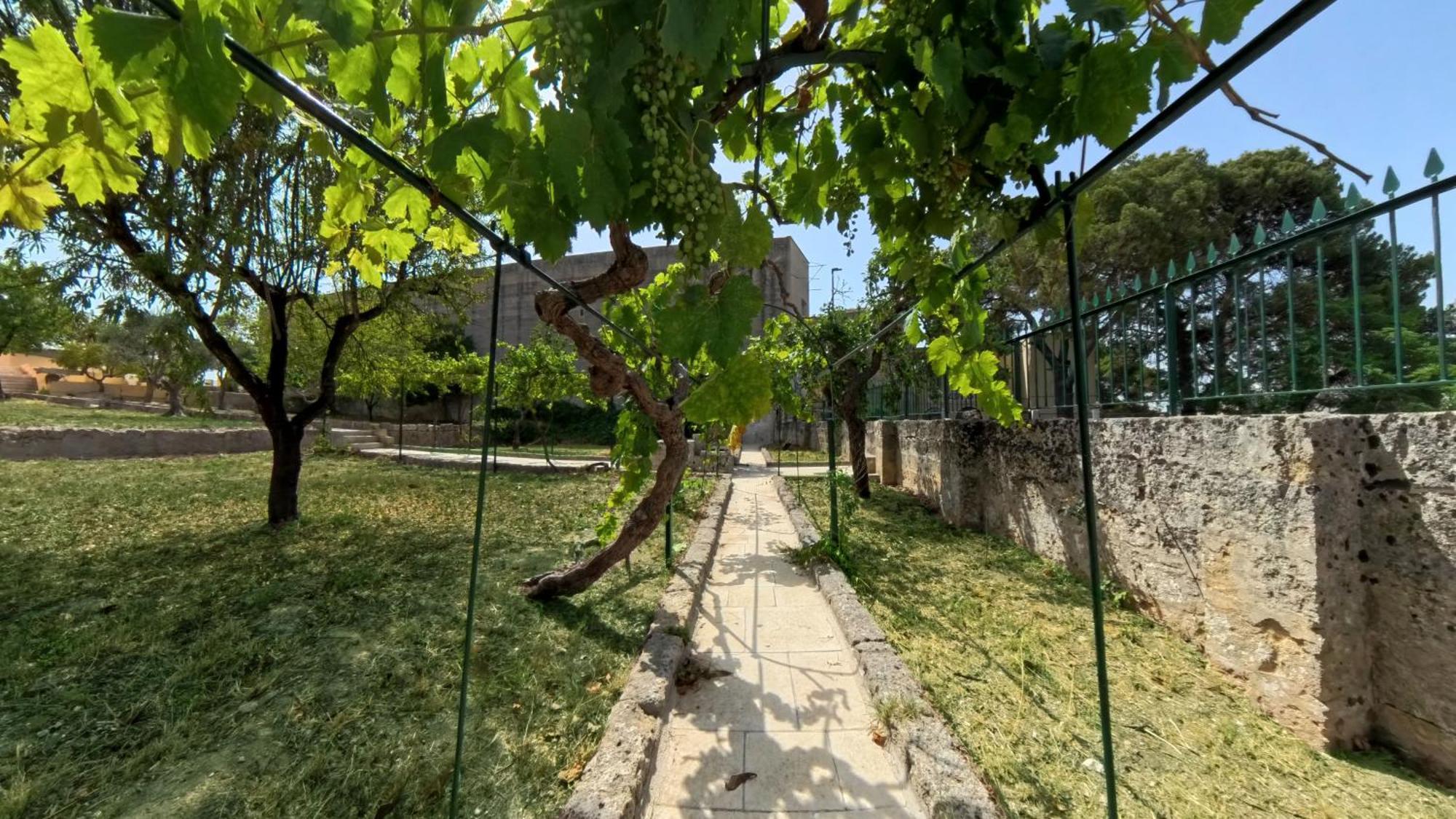 Villa Sine Tempore Fumarola Matera Eksteriør billede